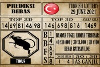 Prediksi Turkish Lottery Hari Ini 29 Juni 2021